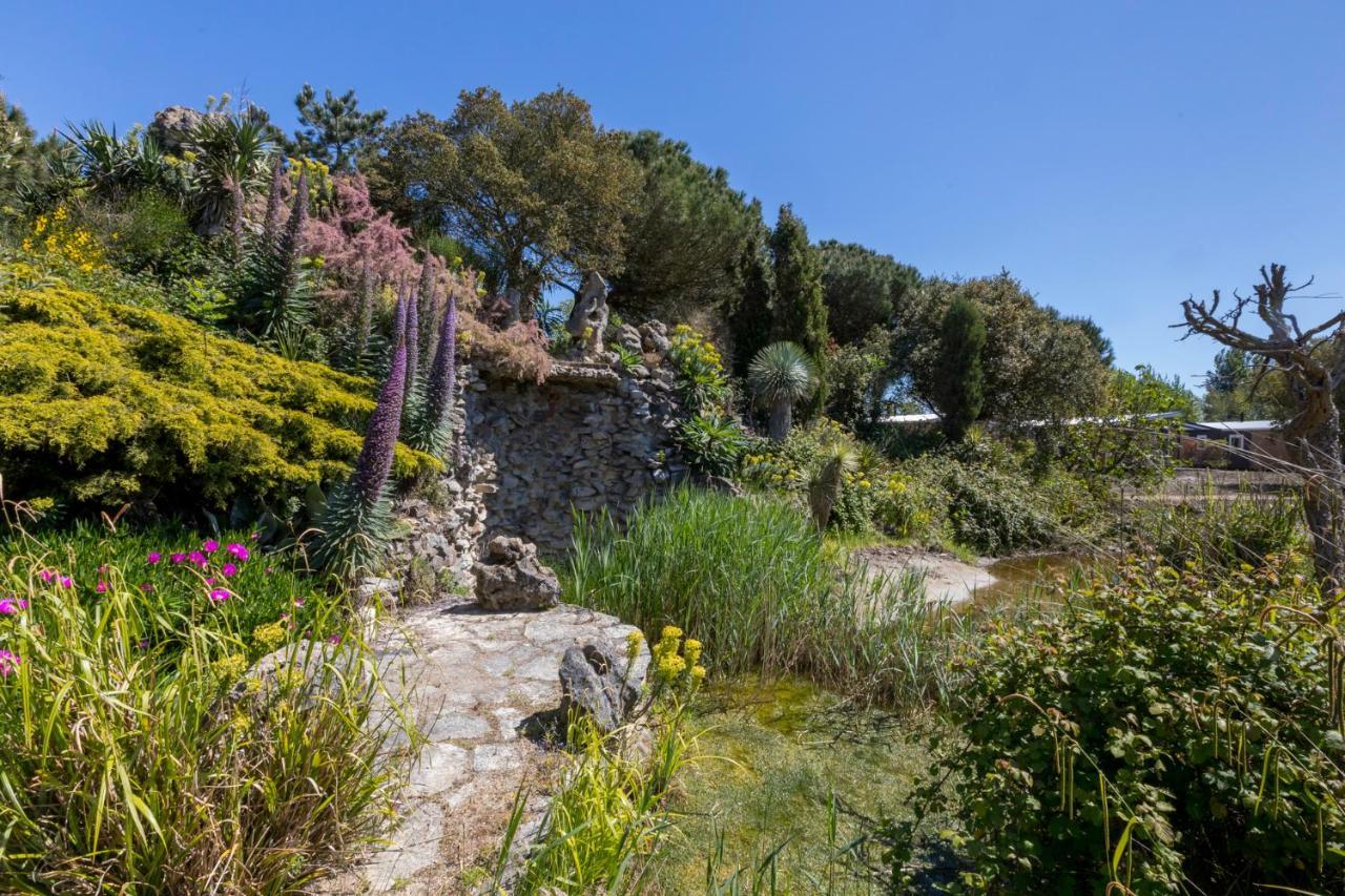 Welcome In - Chalet Vakantiepark Fort Den Haak - Huisdier Toegestaan Vrouwenpolder Luaran gambar